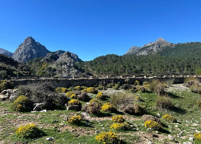 El Endrinal