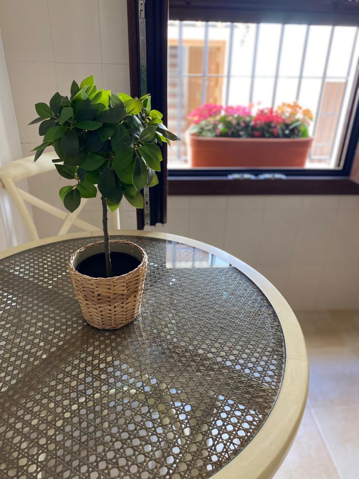El Endrinal Apartment *