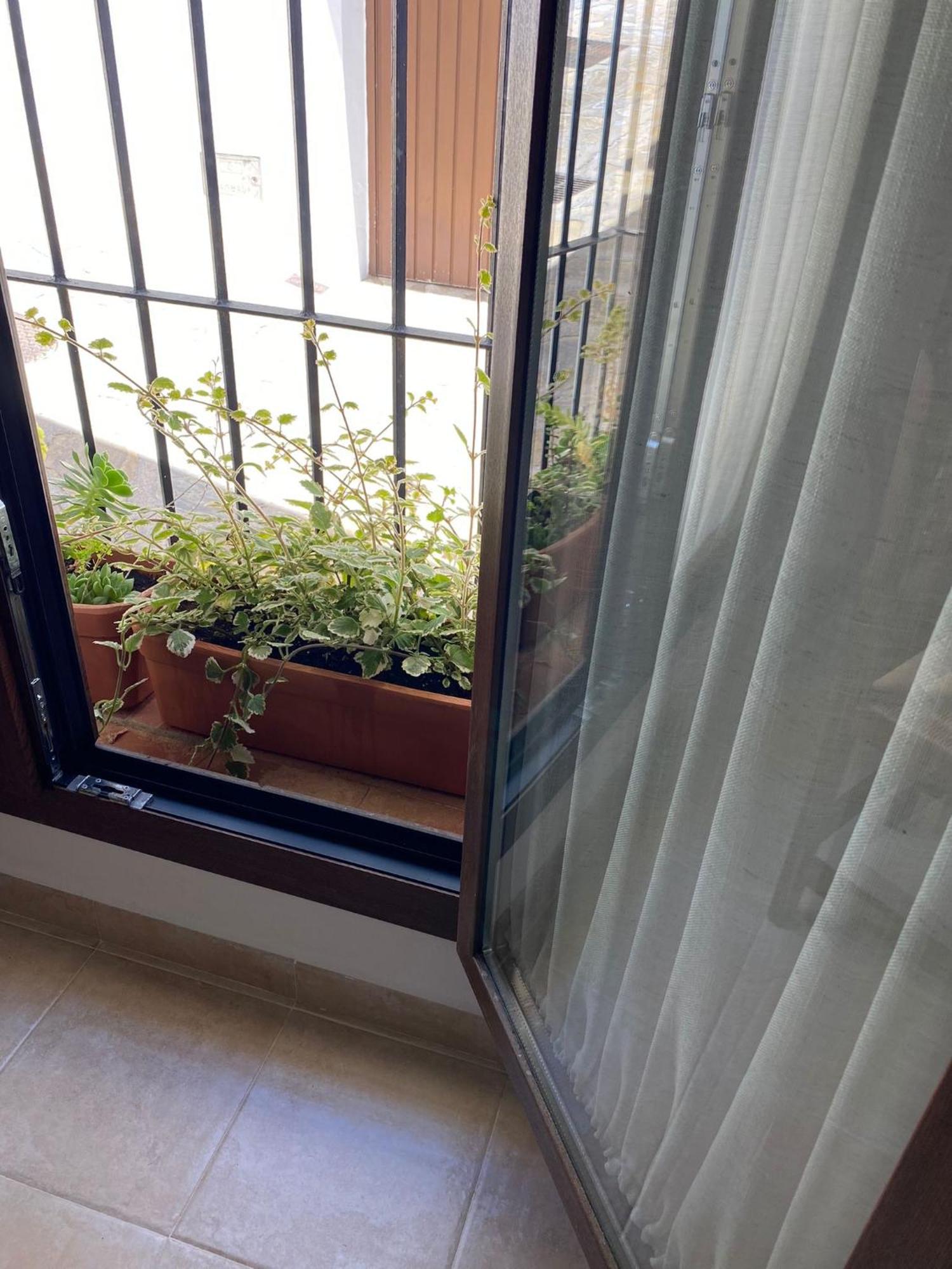El Endrinal Apartment Grazalema